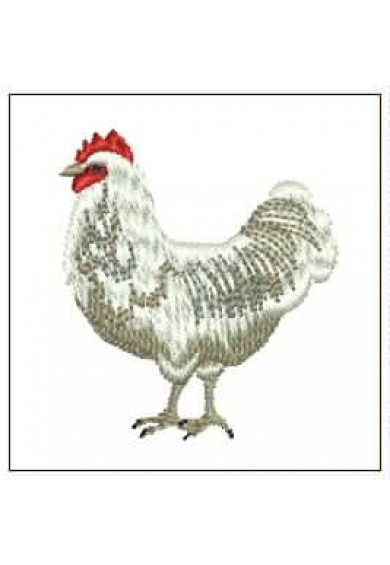 Pet096 - Hen